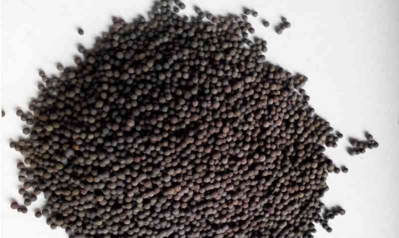 http://www.wetlkw.cn